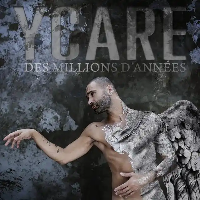 Ycare - Animaux fragiles