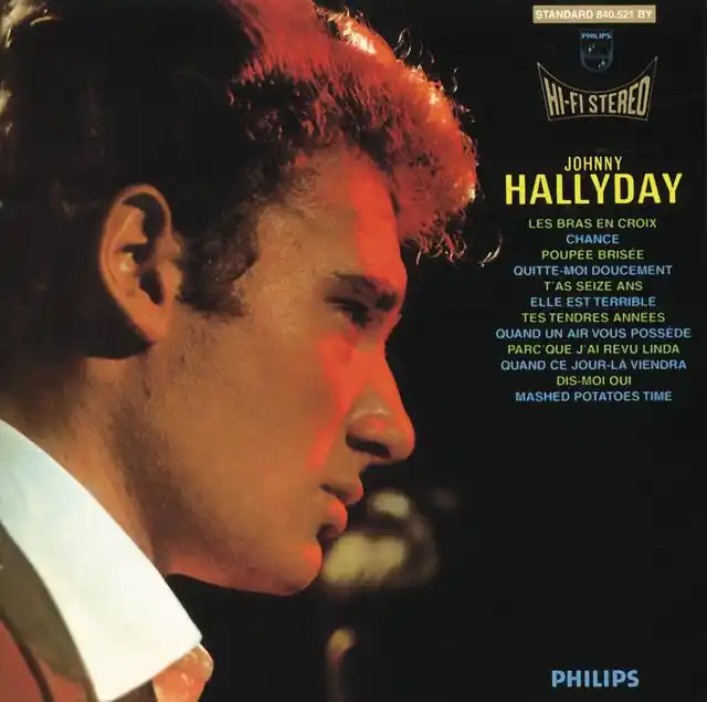 Johnny Hallyday - Elle est terrible